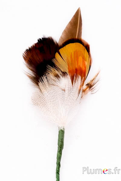 Composition en plumes n° 8 - longueur 14 cm - naturel